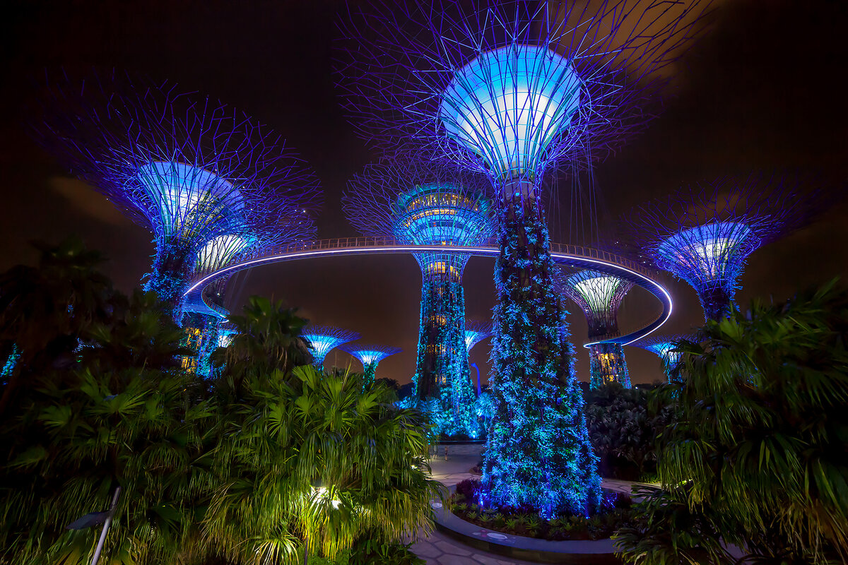 Одно из известных сингапурских "чудес" - парк "Gardens by the Bay"