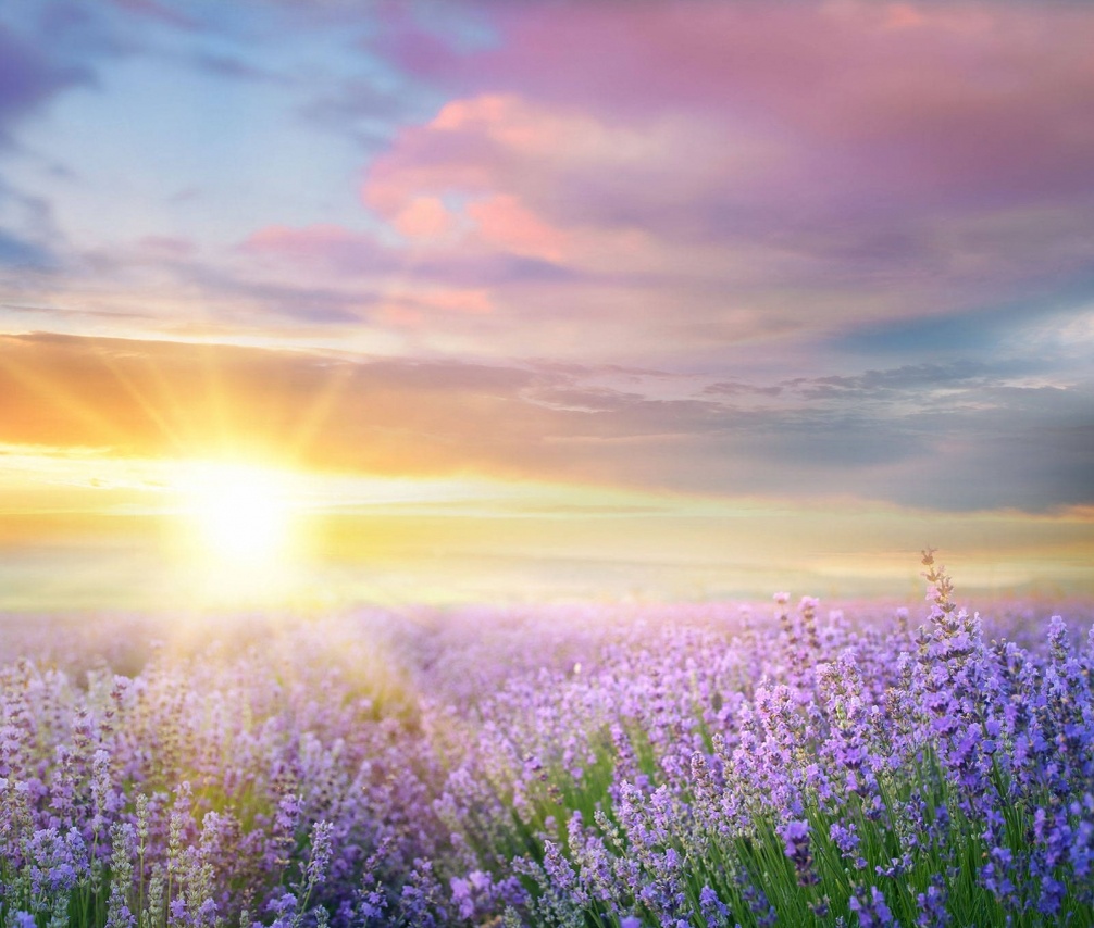 (картинка из интернета)))