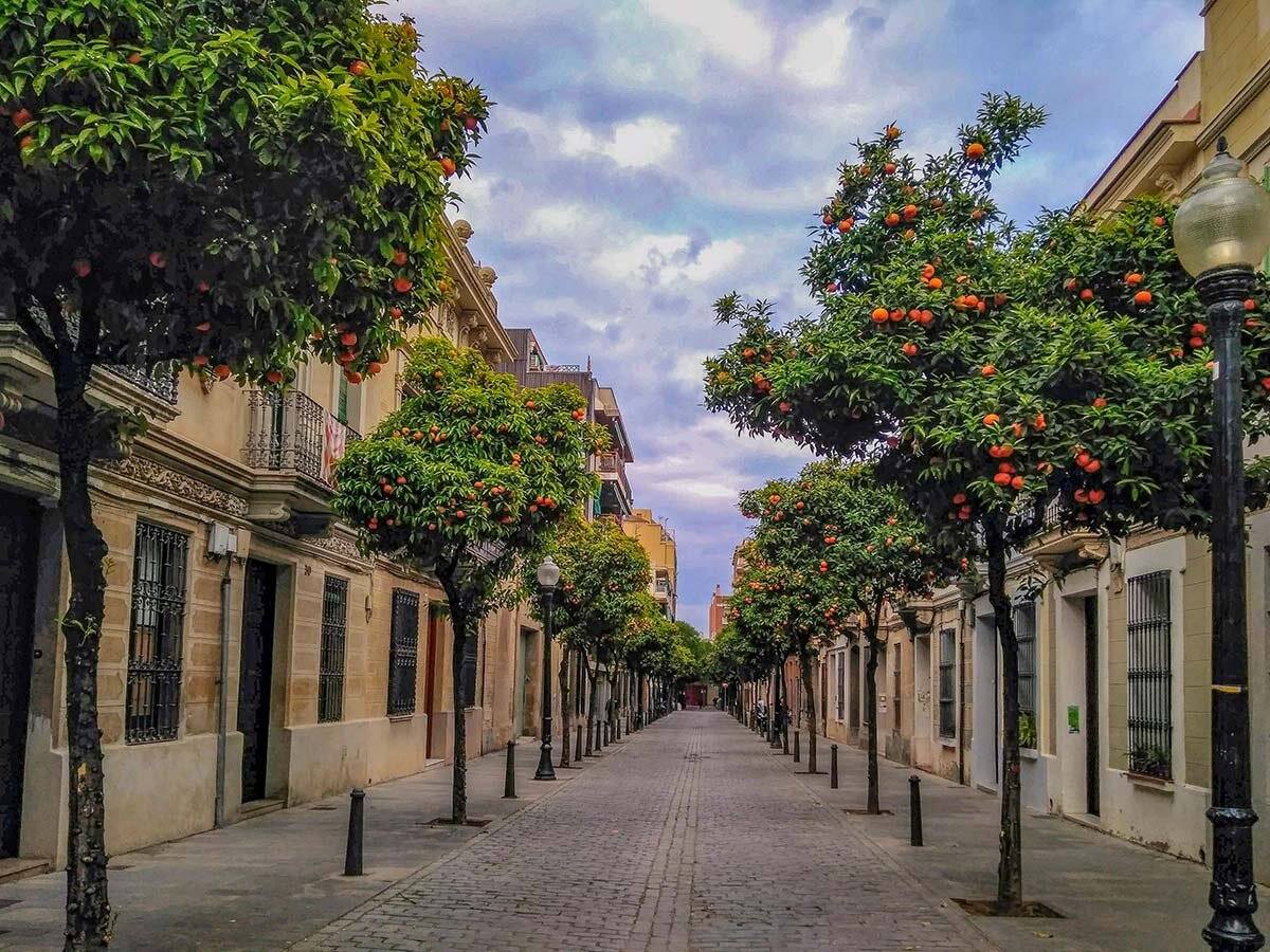 Улица, на которой расположен отель в одном из этих особнячков