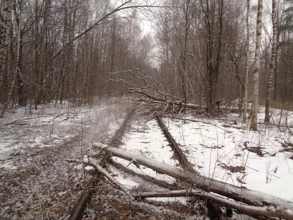 Фото взято из открытого источника.