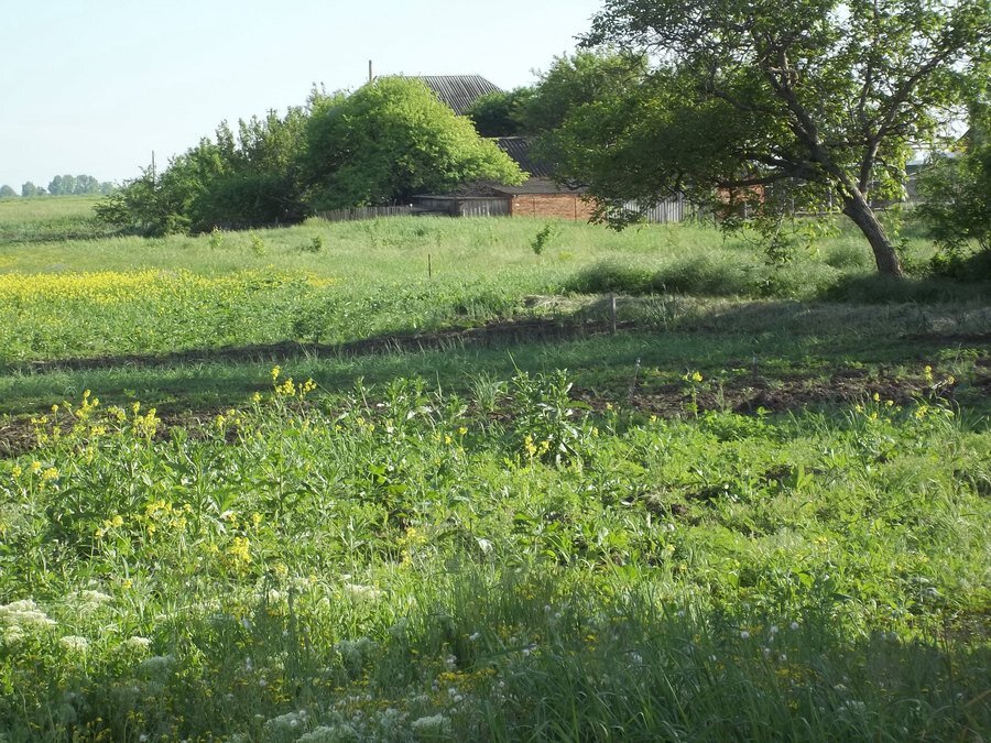 поселок станционный апшеронский район. участок земли сочи. участки земли краснодарский край. земельный участок краснодар. фотография земельного участка 7 гектар.