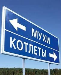 Изображение из свободного доступа в сети интернет 