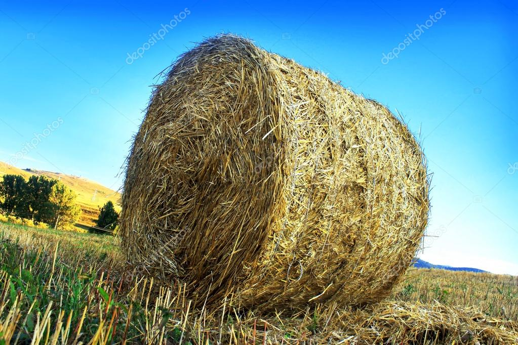 Взято с google.ru