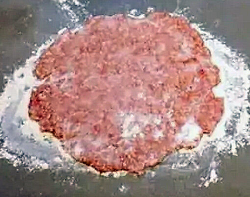 Тонко раскатываем фарш