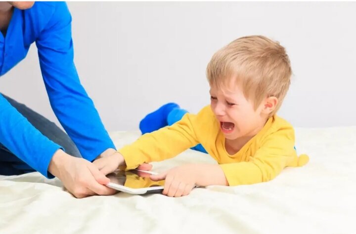 Фото из Яндекс-Картинок 