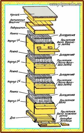 Фото с сайта fermer-elit.ru