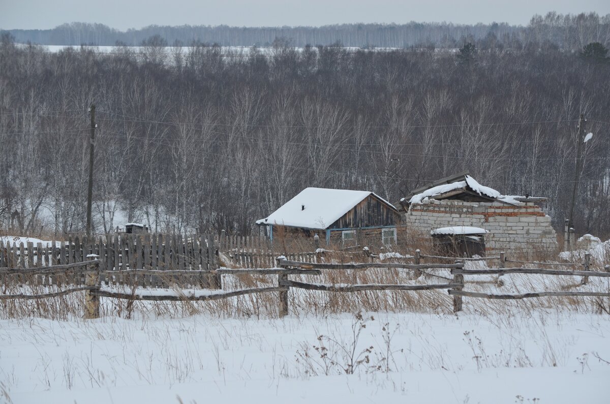 Наша деревня. Фото автора