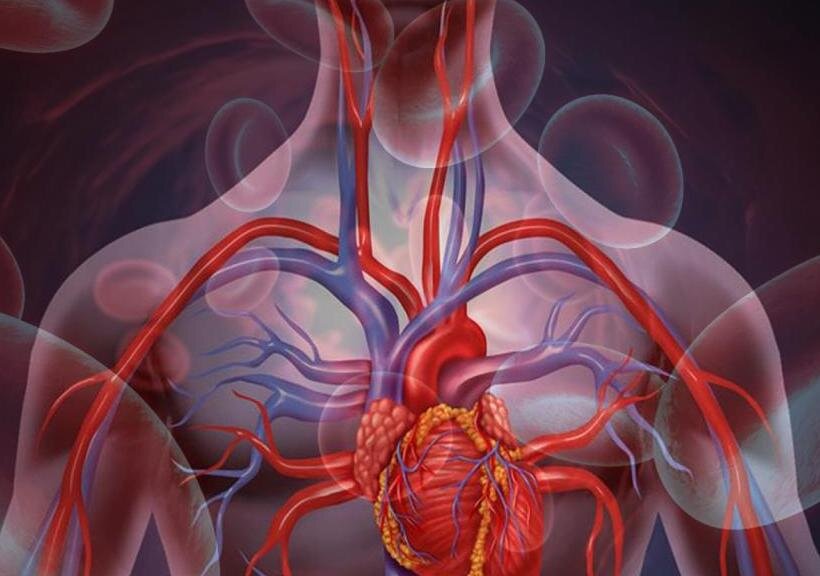 1. Сигнал тревоги для высокого кровяного давления