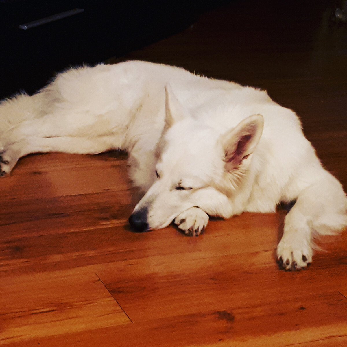 Обиделась. Не берут в морской круиз.