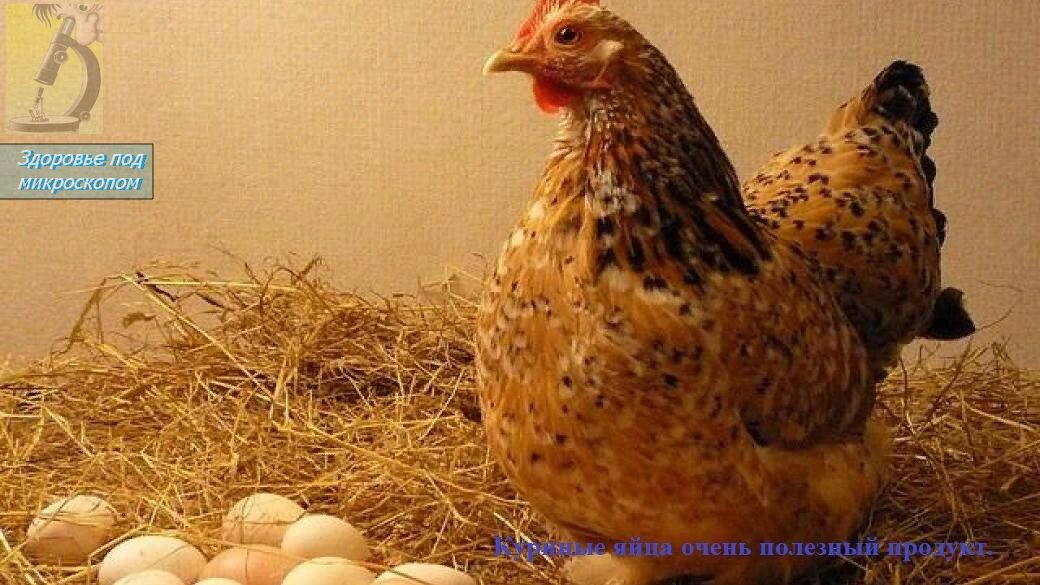 Добившись небольших удач, об этом не кудахчь.