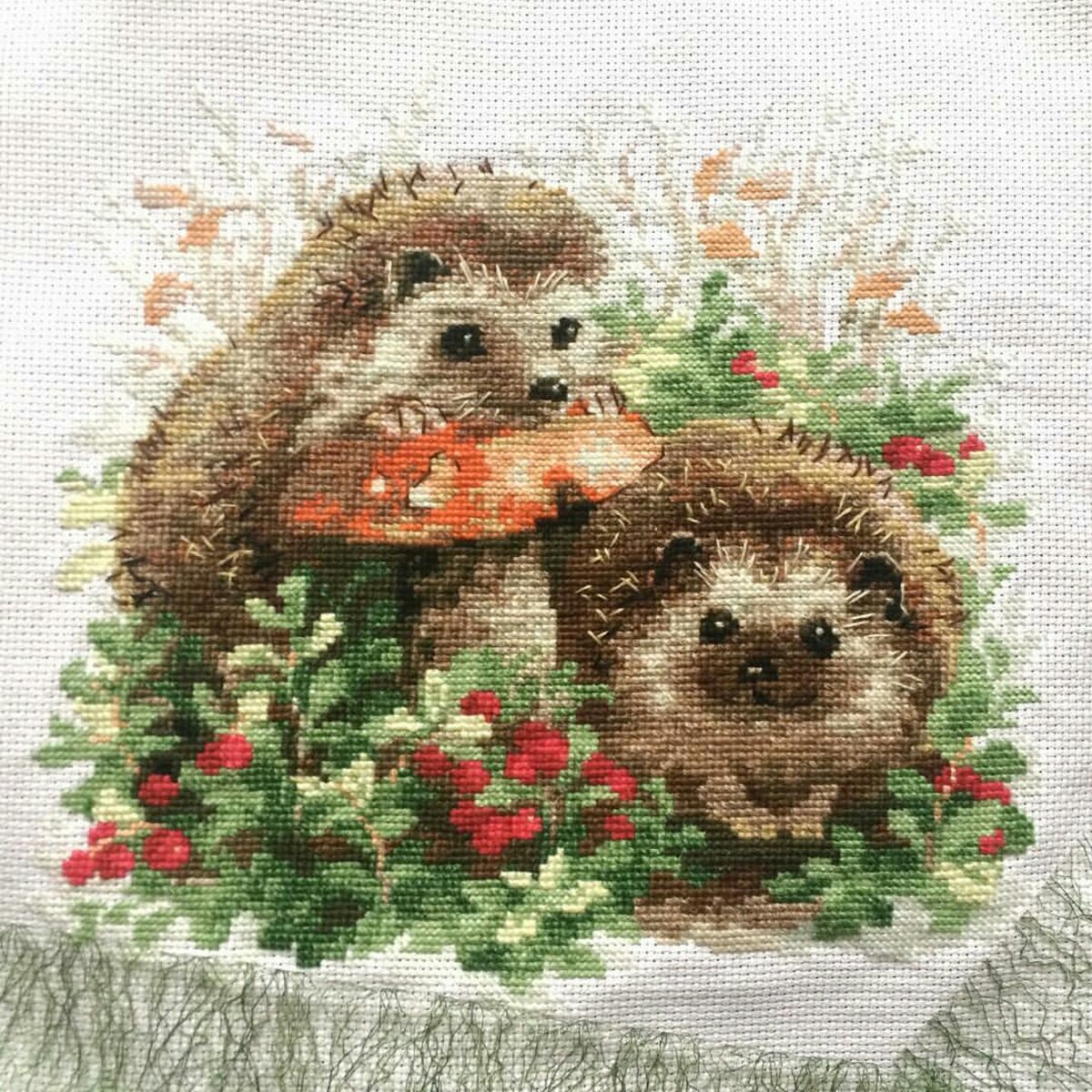 Риолис ежики в бруснике схема