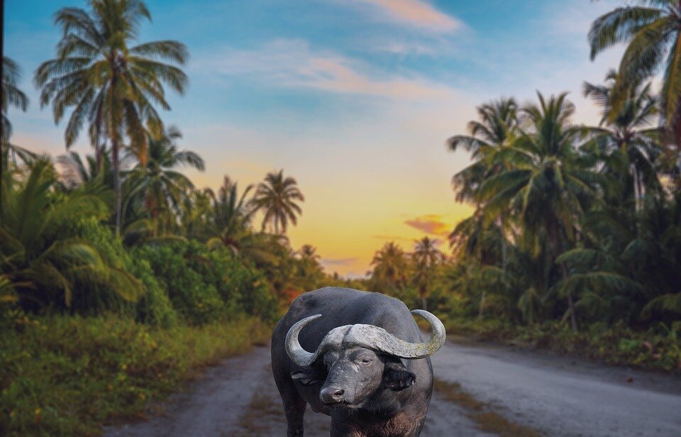 5 лучших хостелов в Юго-Восточной Азии