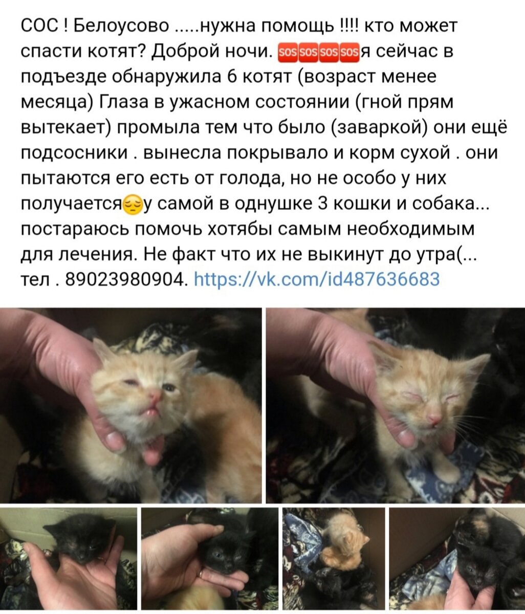 фото с подъезда
