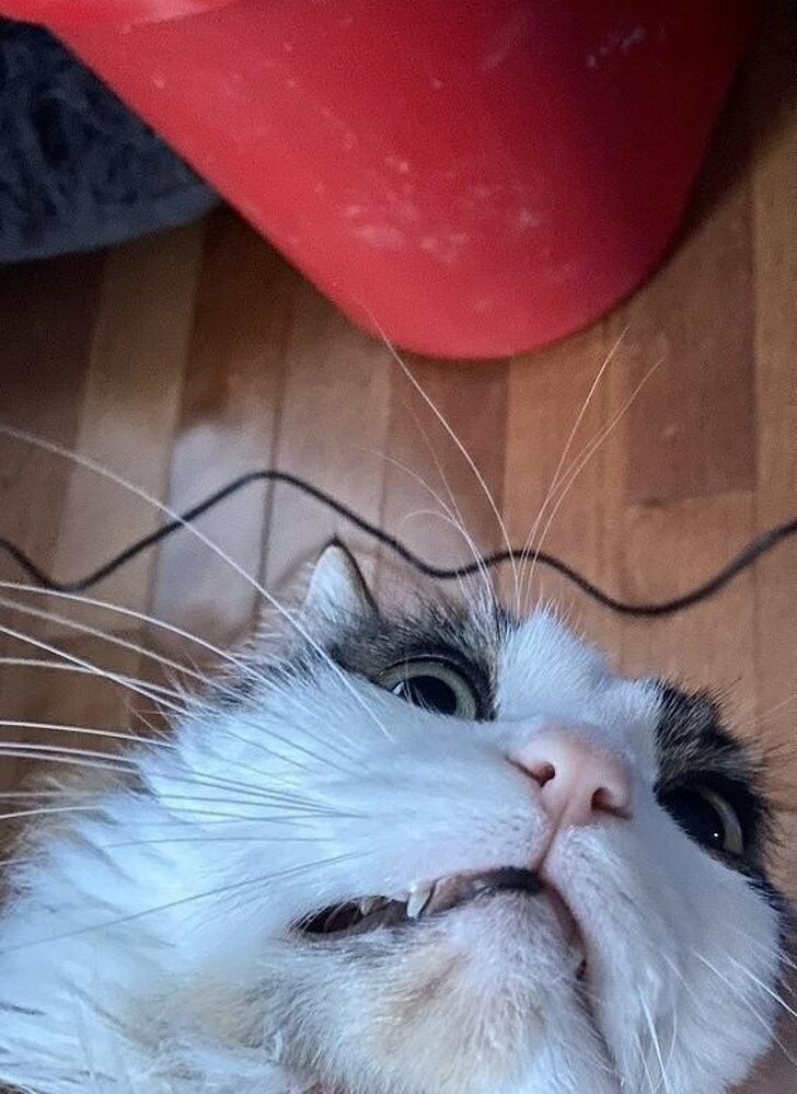 Источник: © Marubolas / reddit  