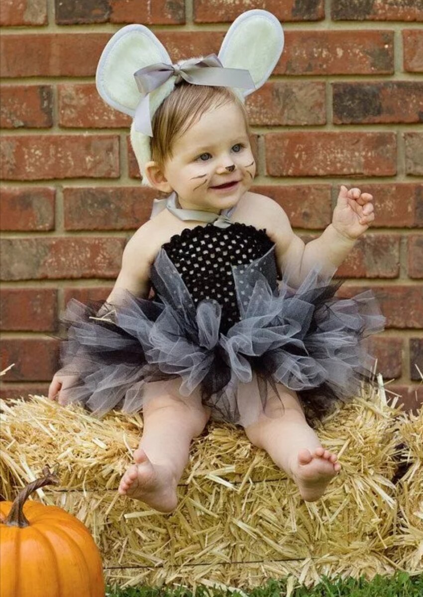 Фото с просторов интернета 