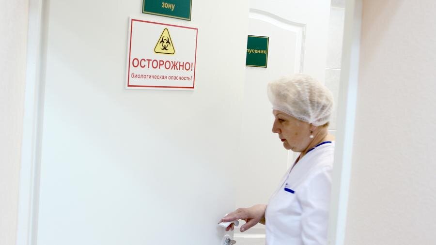 Отделение вирусологических исследований микробиологической лаборатории                      Фото: РИА Новости/Константин Чалабов