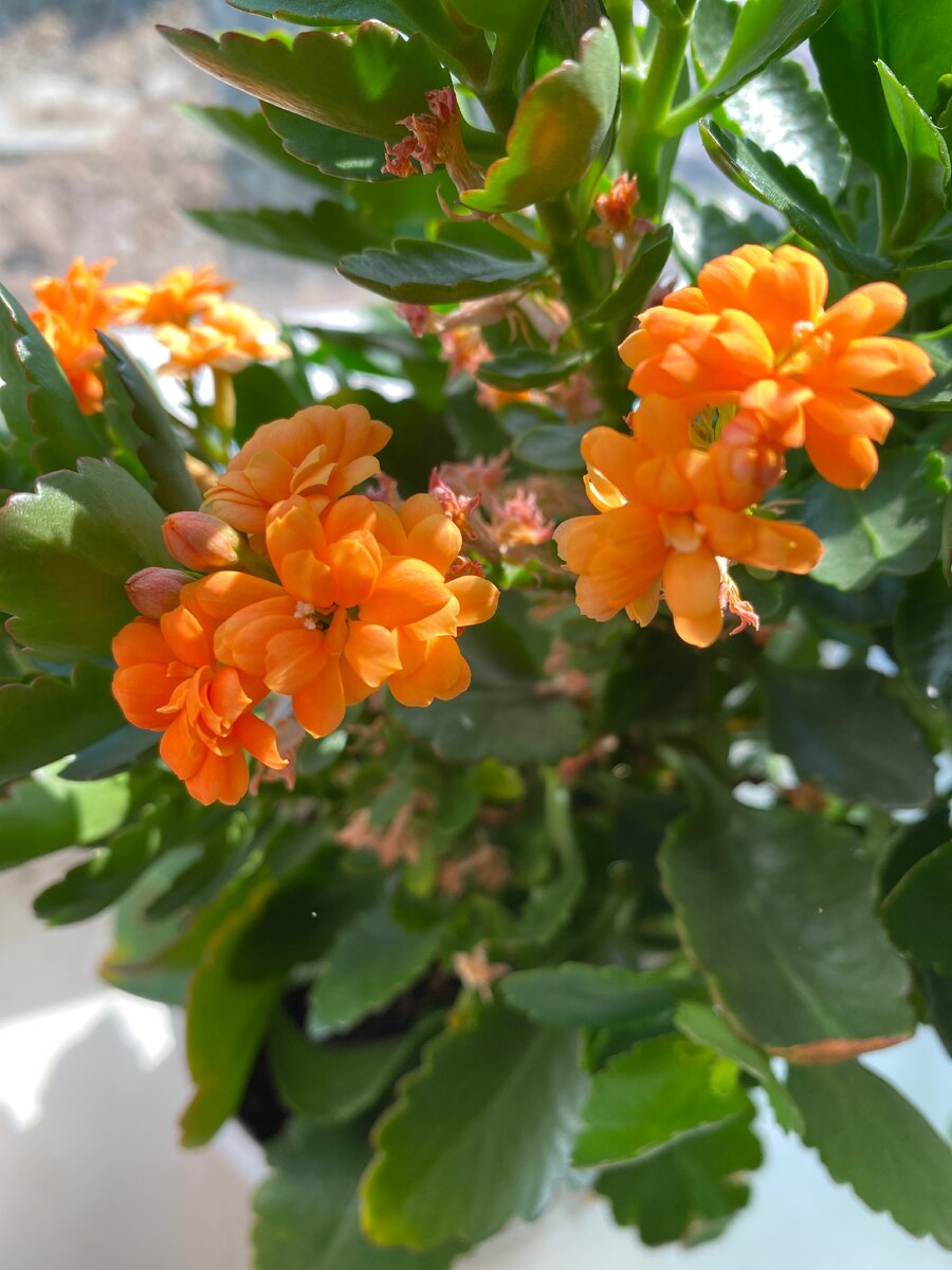 Все, что можно посчитать - можно анализировать и улучшить!