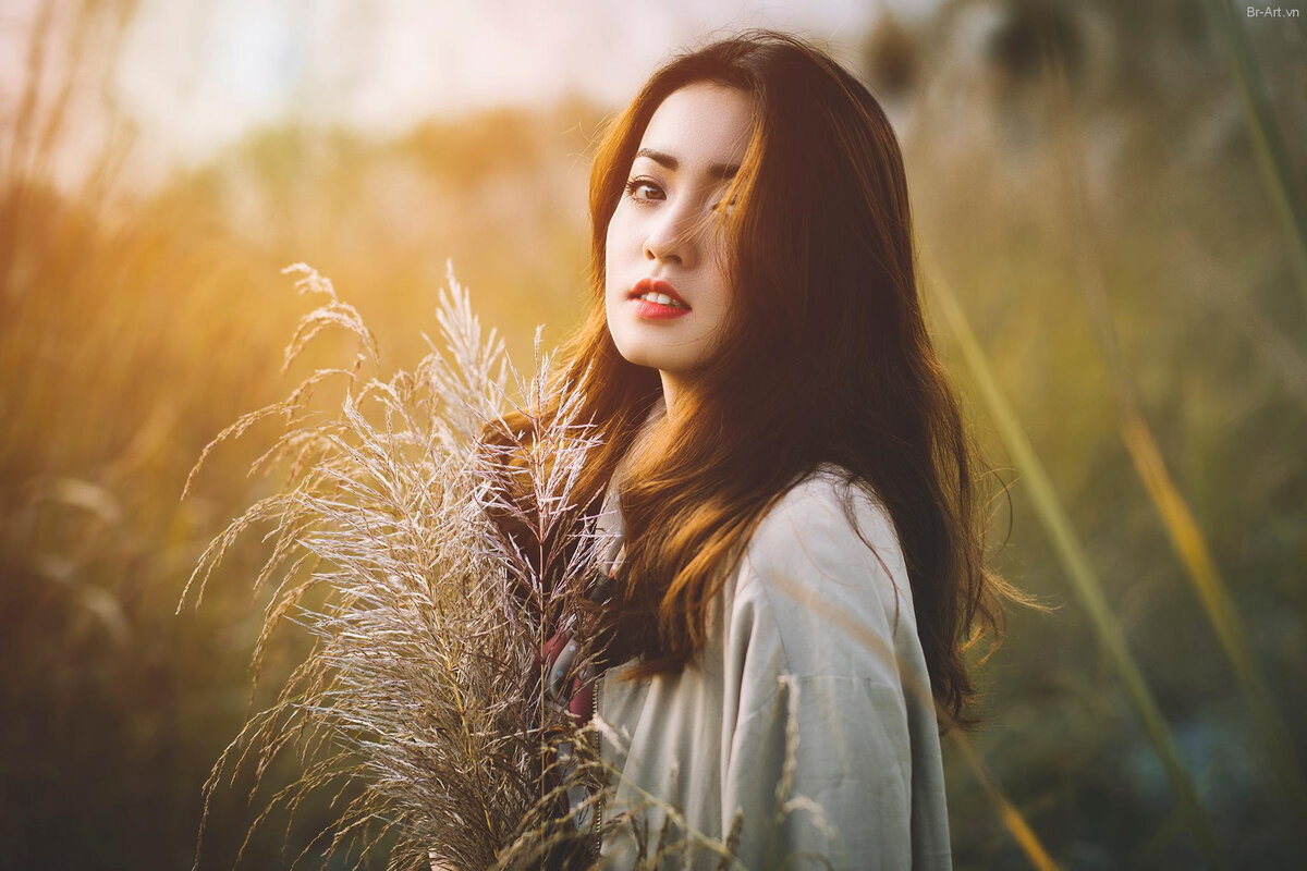 Источник: br-art.vn