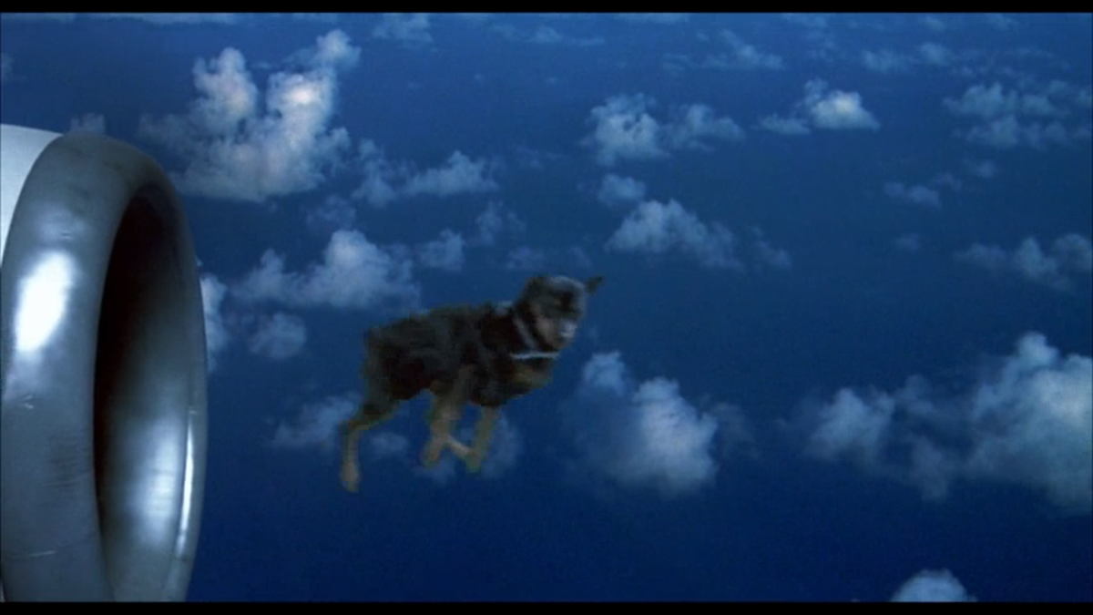 Пес улетающий в двигатель самолета. )))