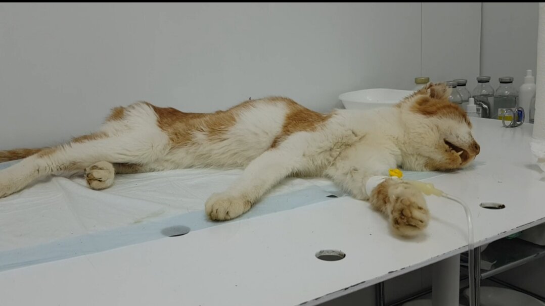 Первый день знакомства