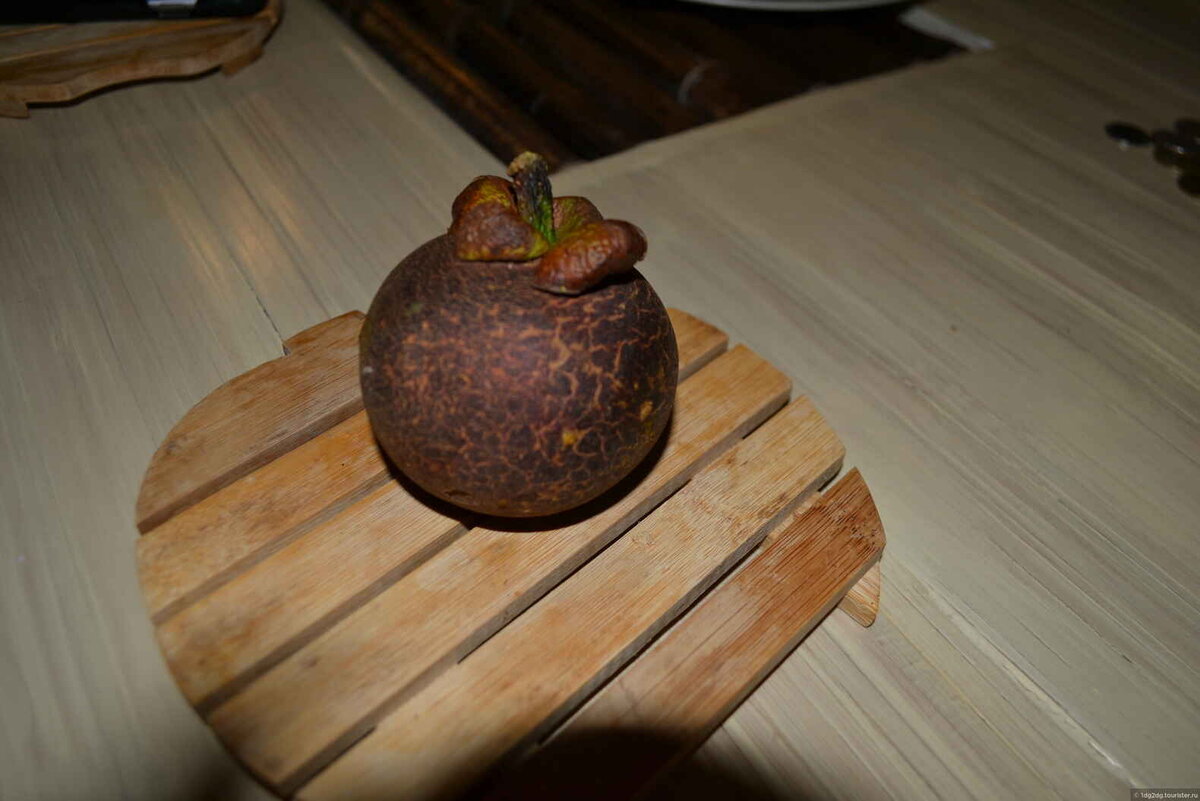 Анастасия Петровна, Туристер.Ру