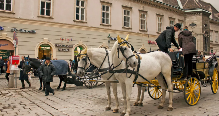 Фотография взята из источника yandex.com