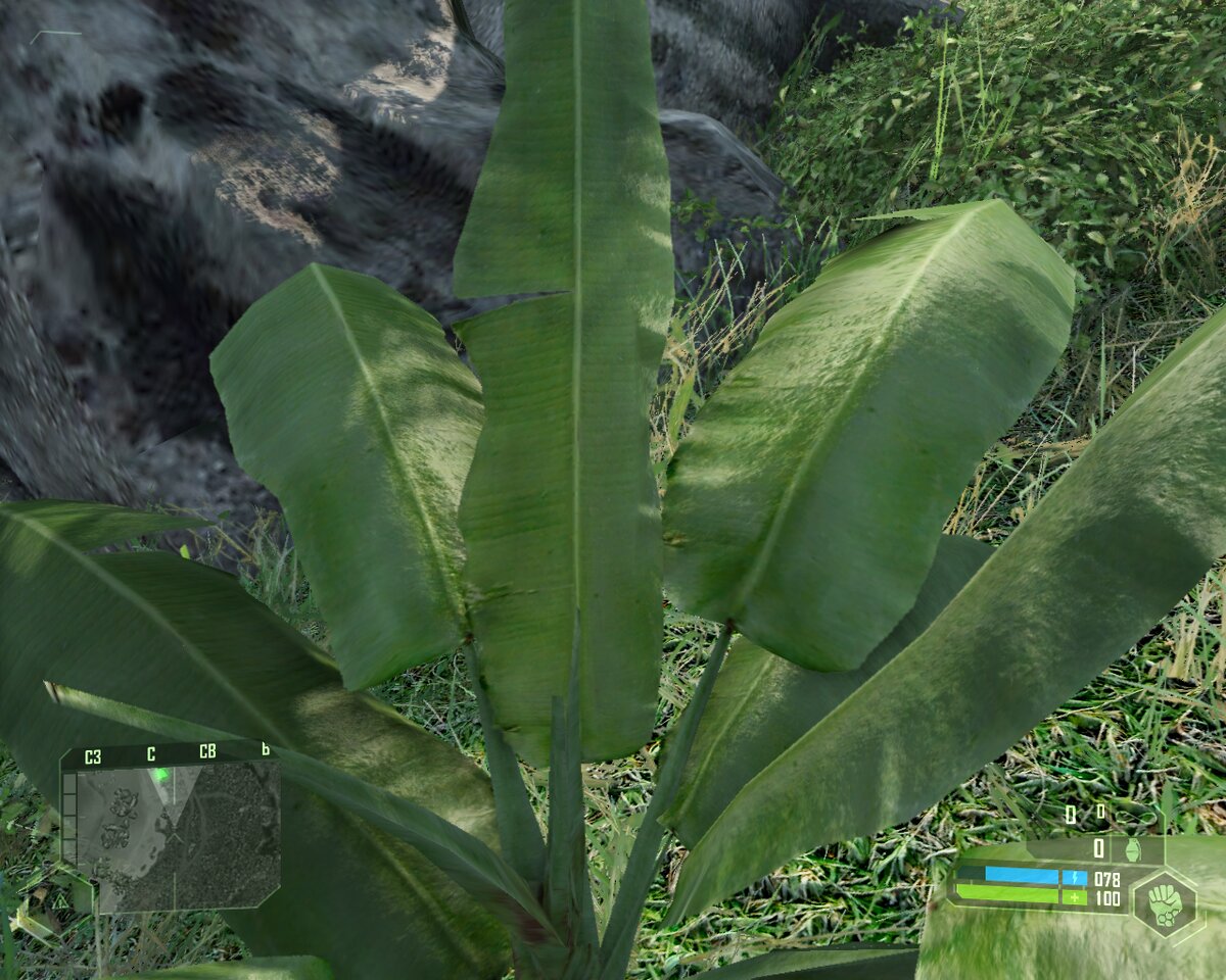 Старая текстура.