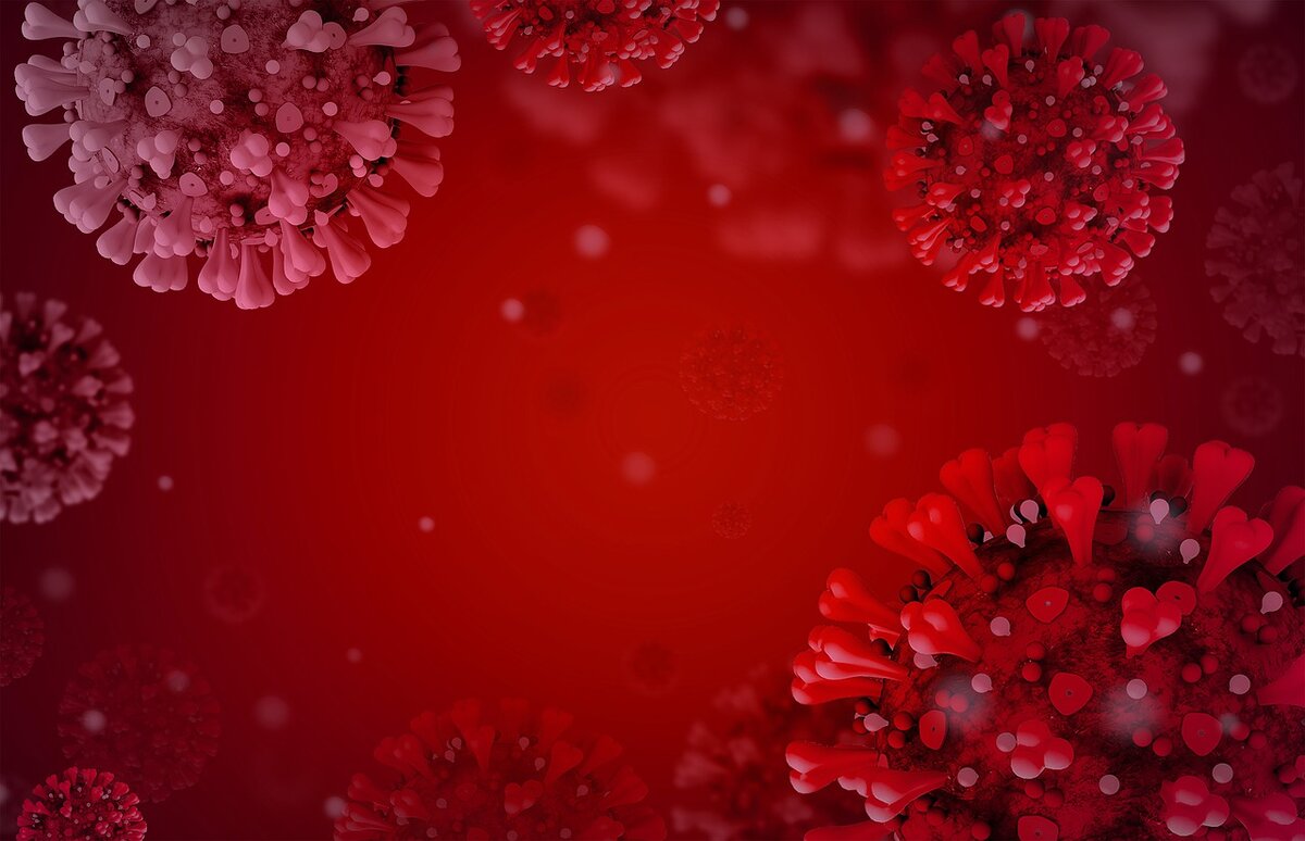 В борьбе с коронавирусом можно убить и свой микробиом