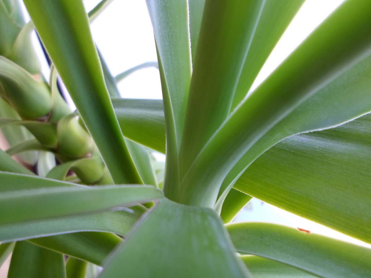 С картинками совсем туго - так и не нашла подходящей...