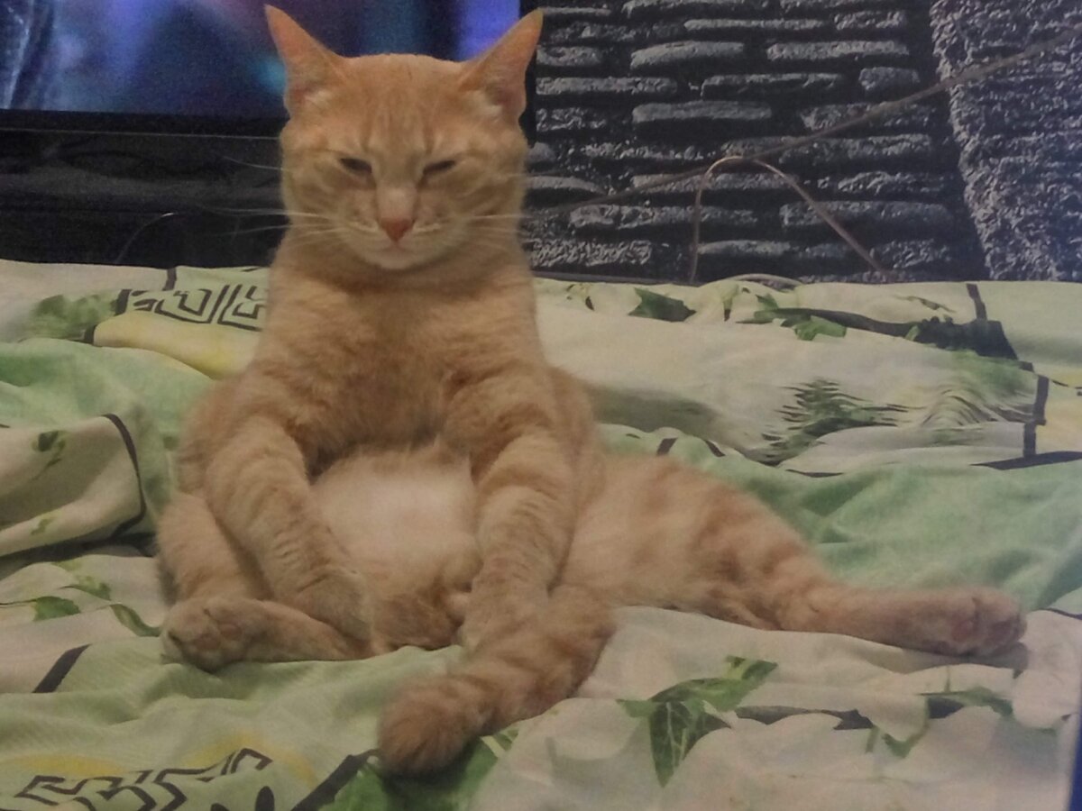 Фото из архива