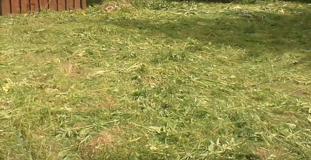 Теперь мой участок, что надо)