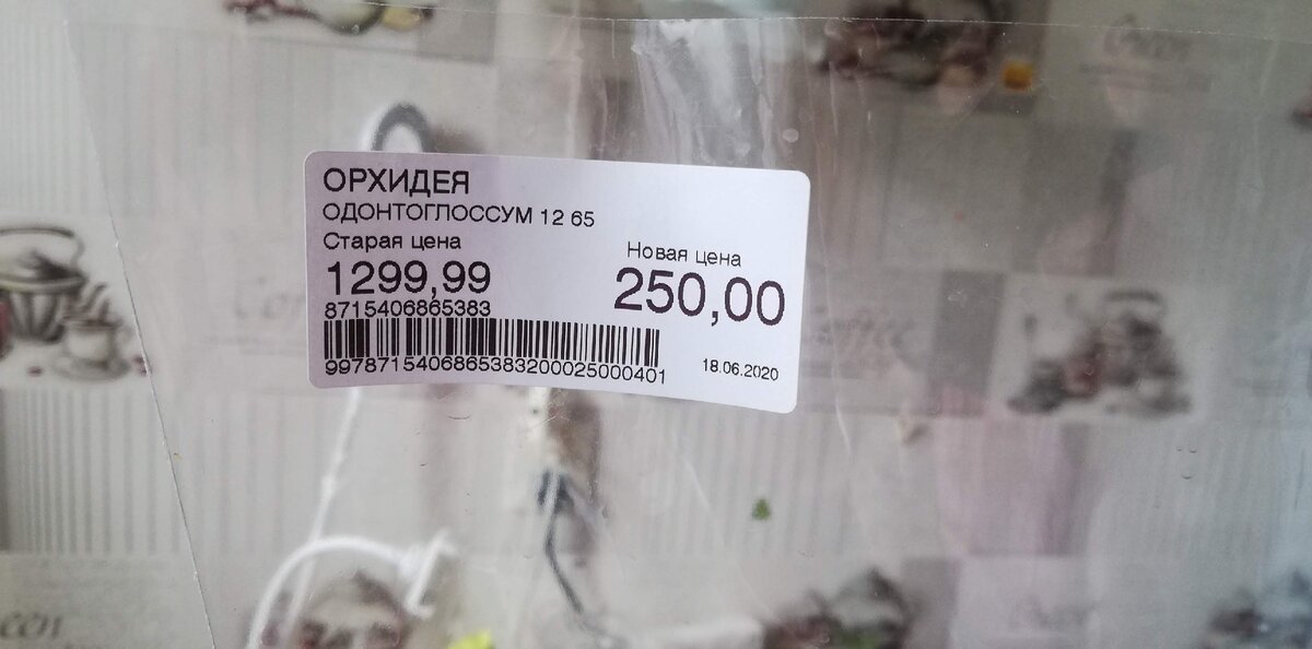 согласитесь цена шоколад))
