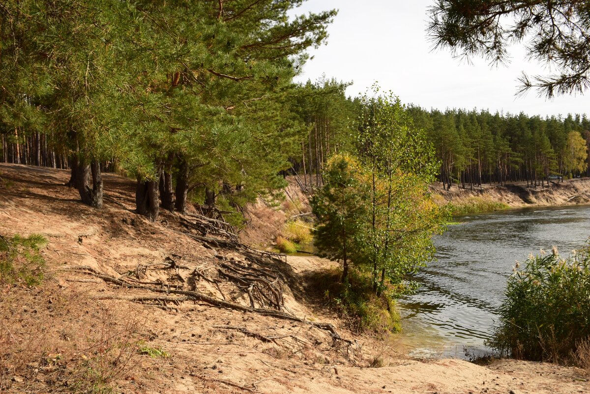 Псковская область карамышево карта