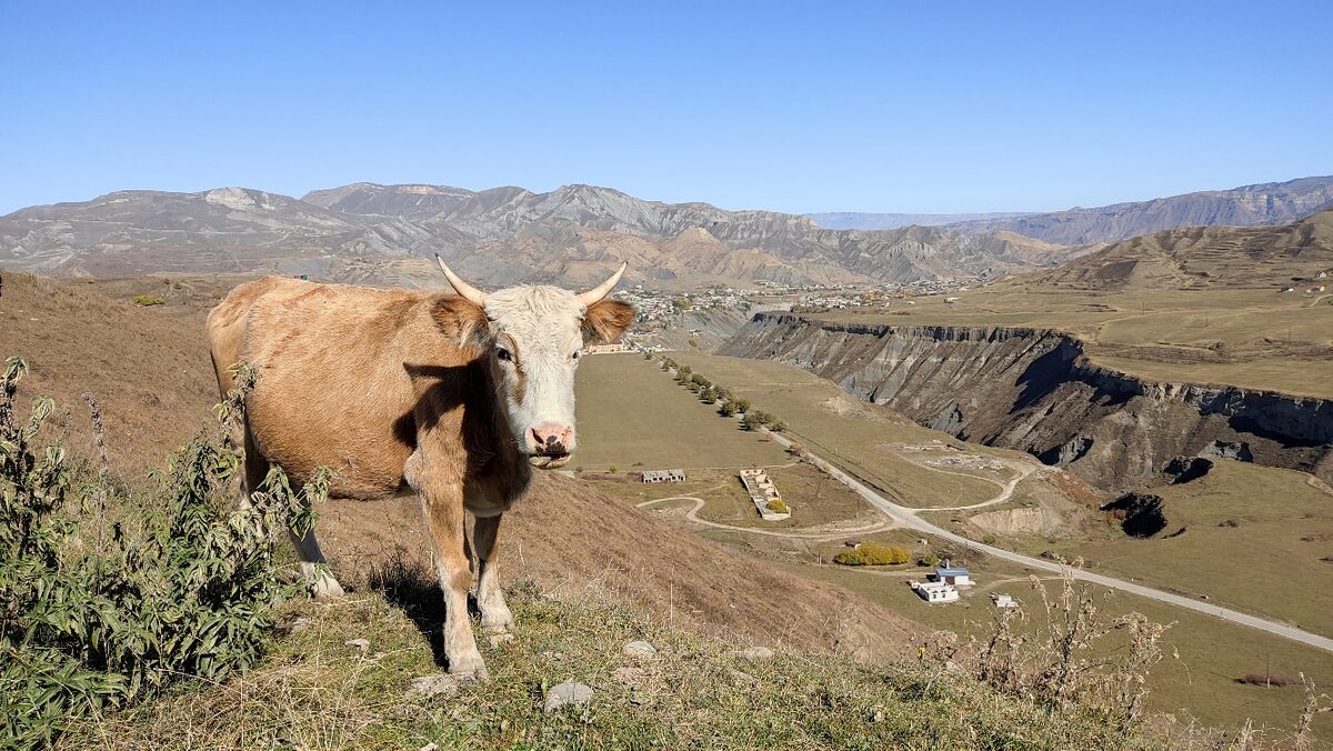 Вид на Кумух (вдали) с последнего витка серпантина