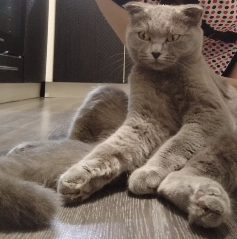Необычно.)