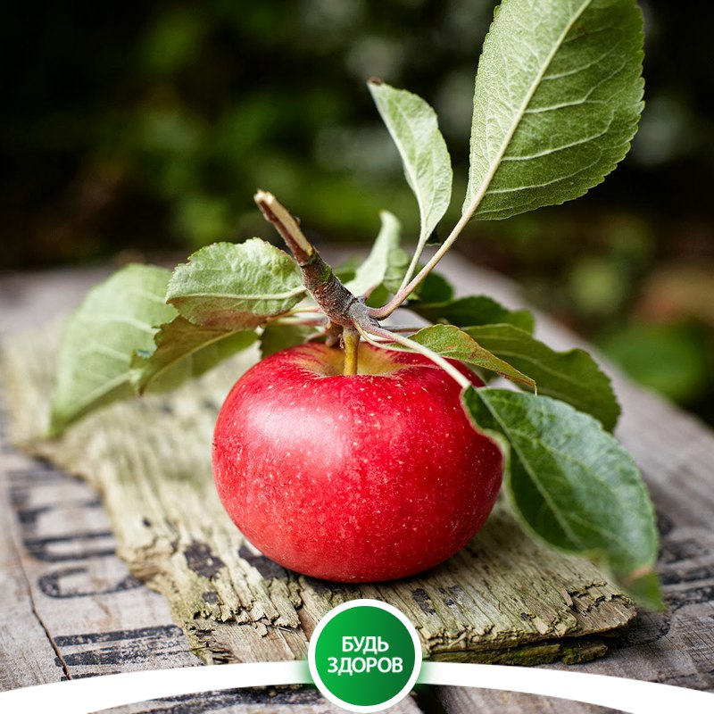 Яблоки содержат много железа, их справедливо считают хорошим помощником при анемиях у детей, взрослых и особенно у беременных женщин