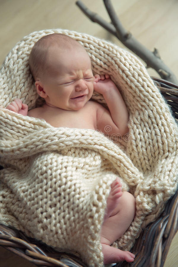 фото с просторов интернета 