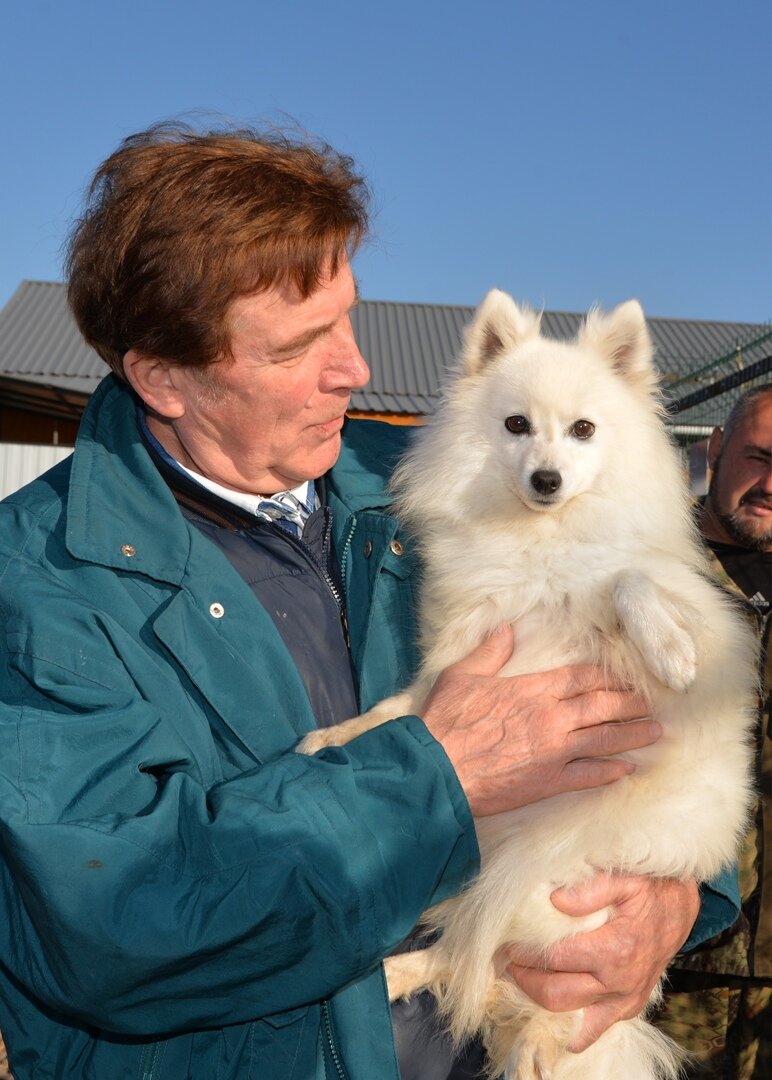 Н. Павленко и японский шпиц в питомнике "Белый Лекарь". https://vk.com/beliy.lekar