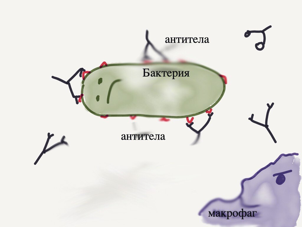 Создавал ли