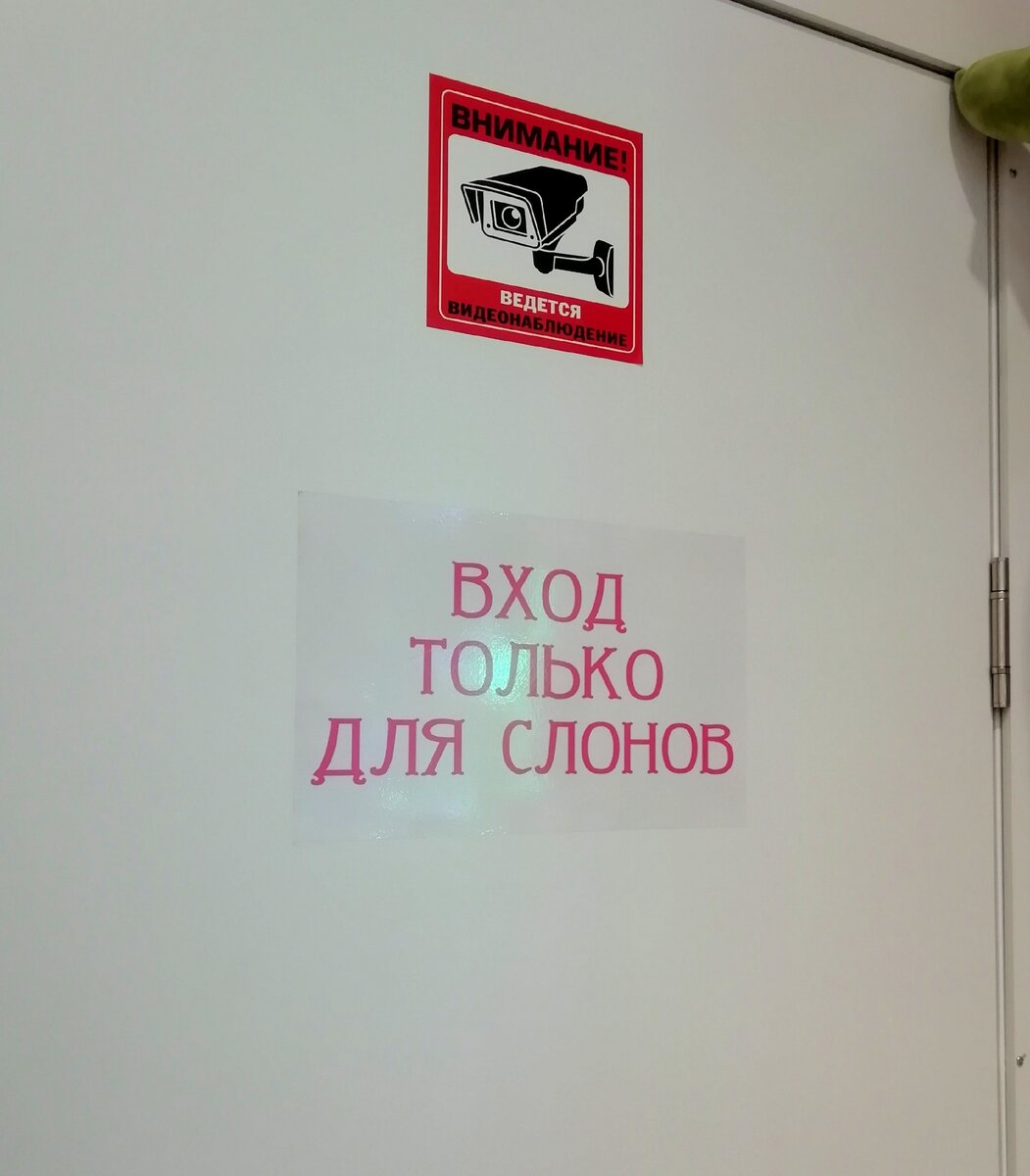 Магазинчик назывался "Купи слона" 