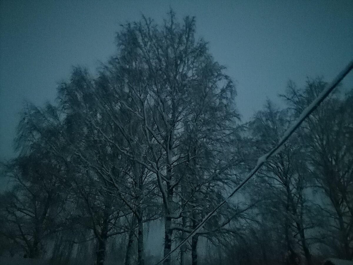Вечернее фото от дома. 