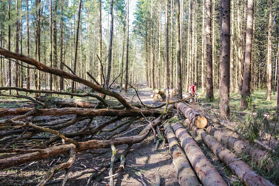 Изображение взято для ознакомления. Ссылка на изображение: https://cdn.pixabay.com/photo/2017/09/15/06/02/blockage-2751236_960_720.jpg