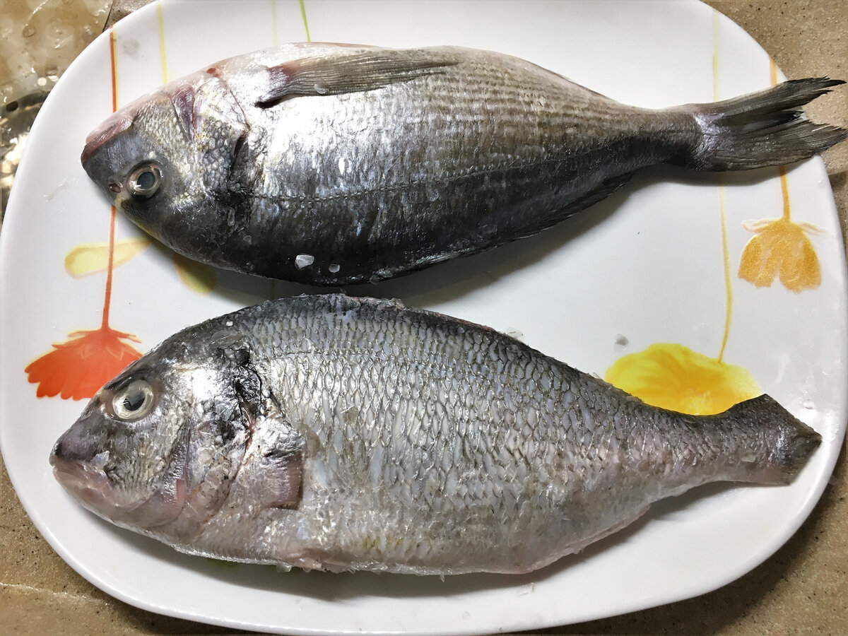 У нижней рыбы плавники, и хвост срезаны