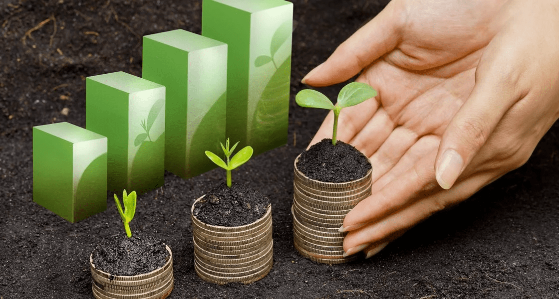 Фото взято с открытых источников в качестве иллюстрации!!!