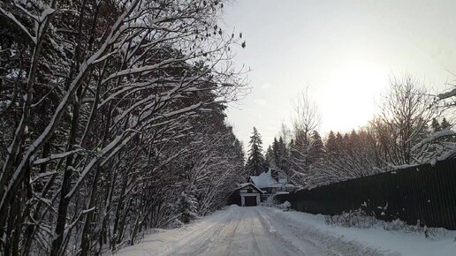 Первая прогулка на даче .