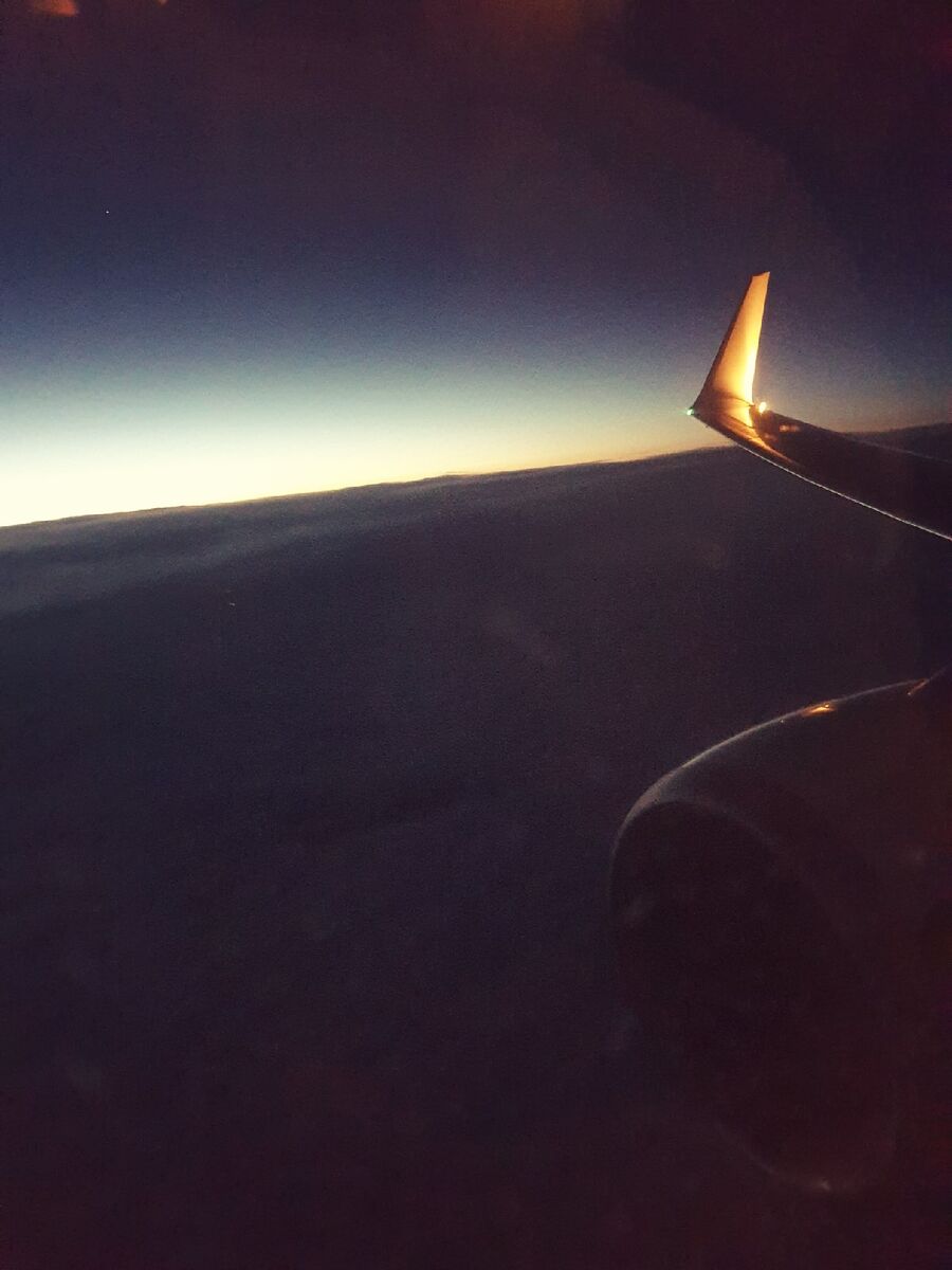 Первый из одиннадцати