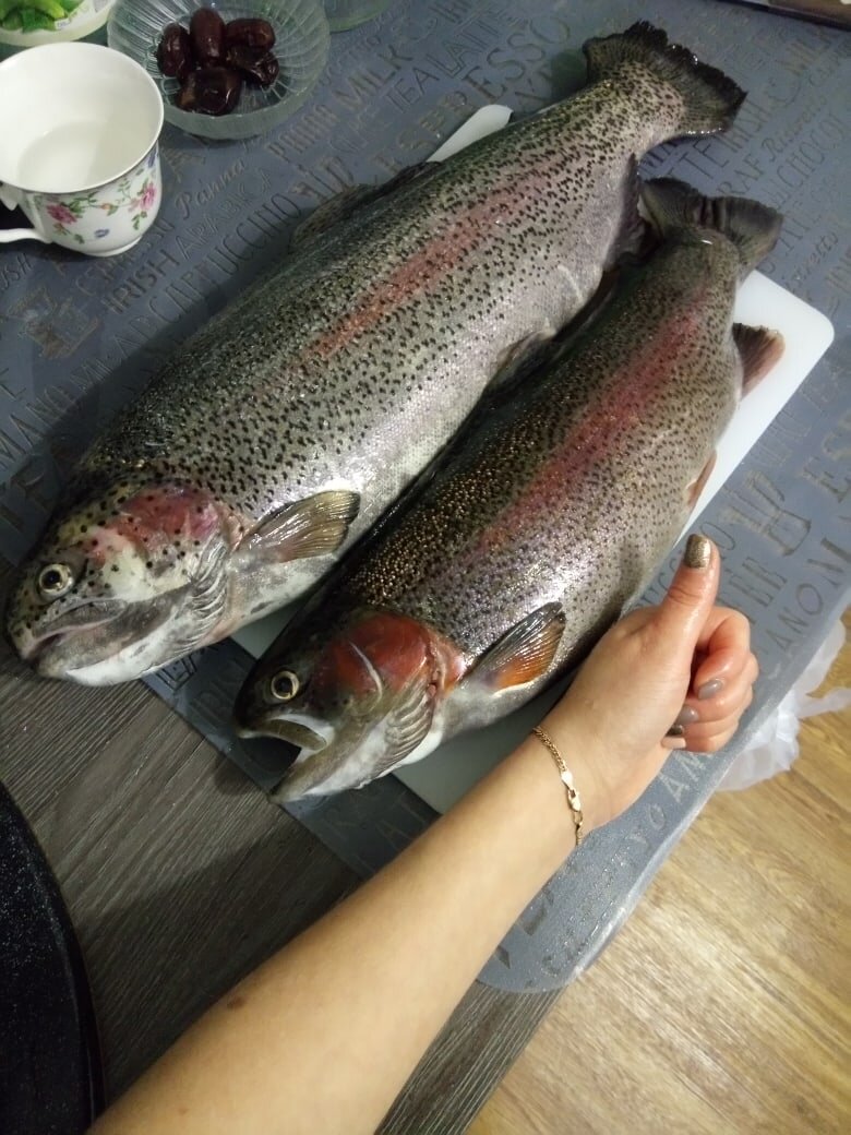 Наша форель, выращенная на Рефтинском рыбхозе. Отзыв покупателя