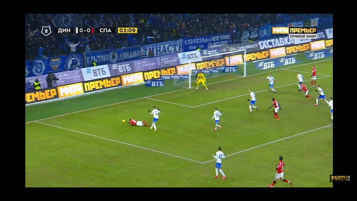 Айртон отдыхает на великолепном газоне бело-синих