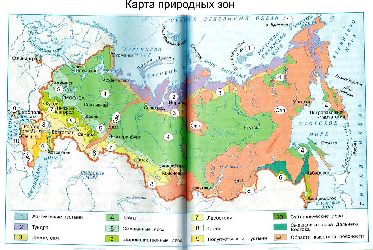 Укажите природную зону в которой можно встретить