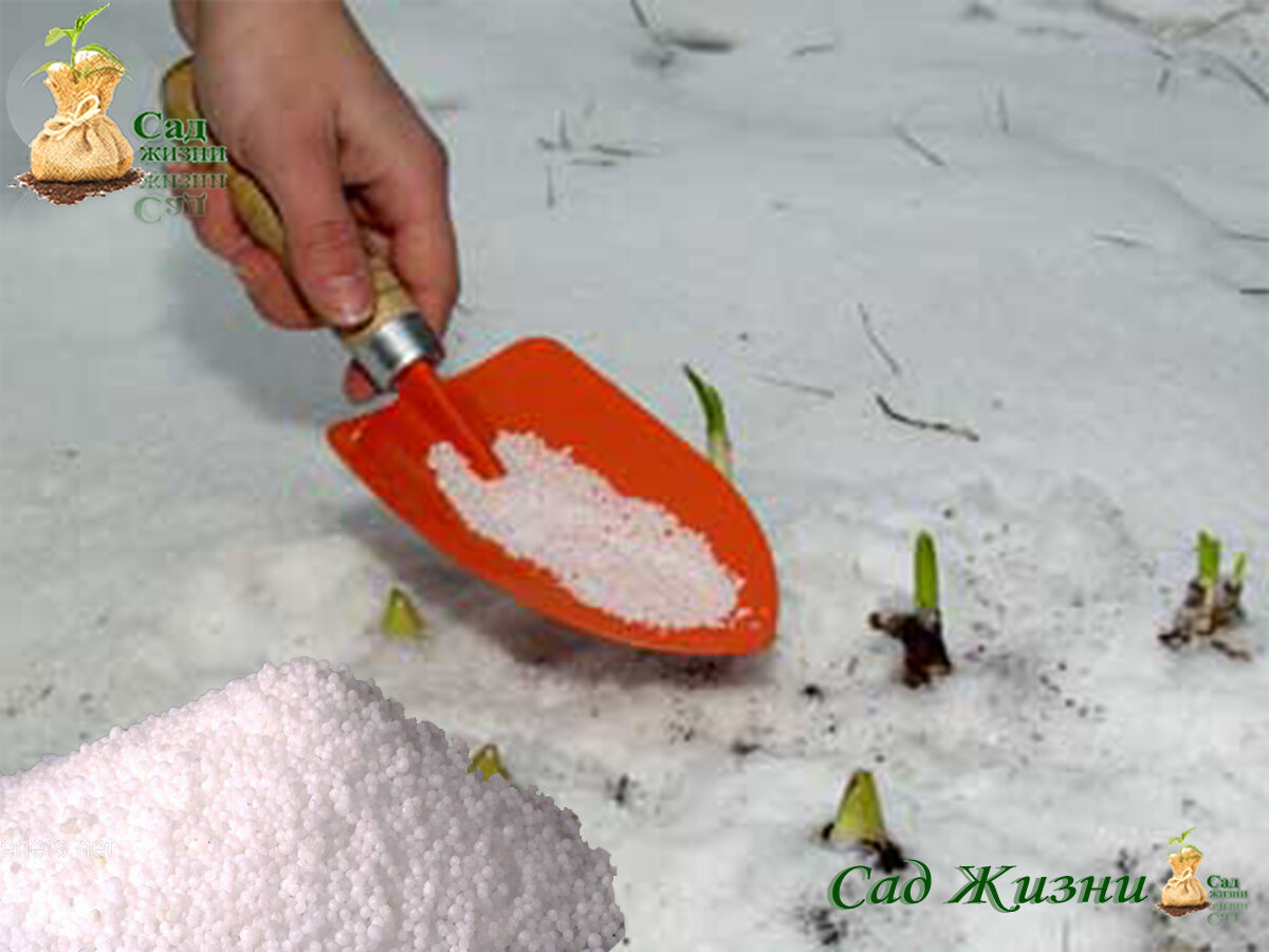 Удобрения по снегу